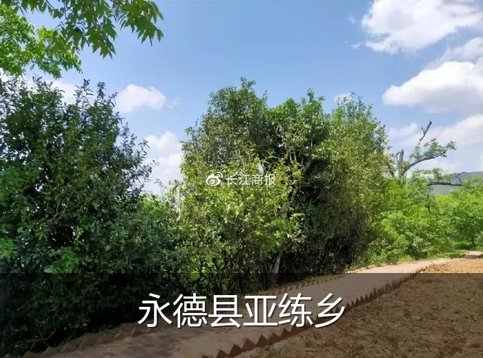 永德县亚练乡